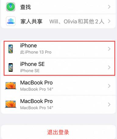 番禺苹番禺果维修网点分享iPhone如何查询序列号