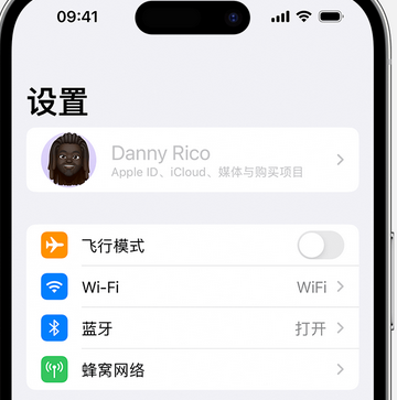 番禺appleID维修服务iPhone设置中Apple ID显示为灰色无法使用 