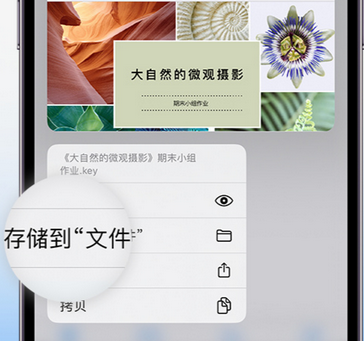 番禺apple维修中心分享iPhone文件应用中存储和找到下载文件