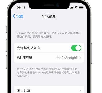 番禺apple服务站点分享iPhone上个人热点丢失了怎么办