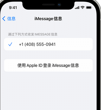 番禺apple维修iPhone上无法正常发送iMessage信息 