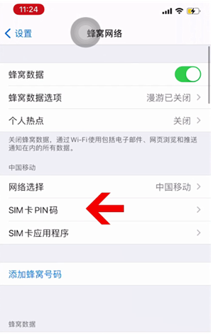 番禺苹果14维修网分享如何给iPhone14的SIM卡设置密码 