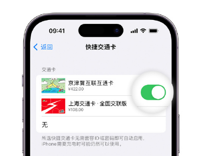 番禺apple维修点分享iPhone上更换Apple Pay快捷交通卡手绘卡面 