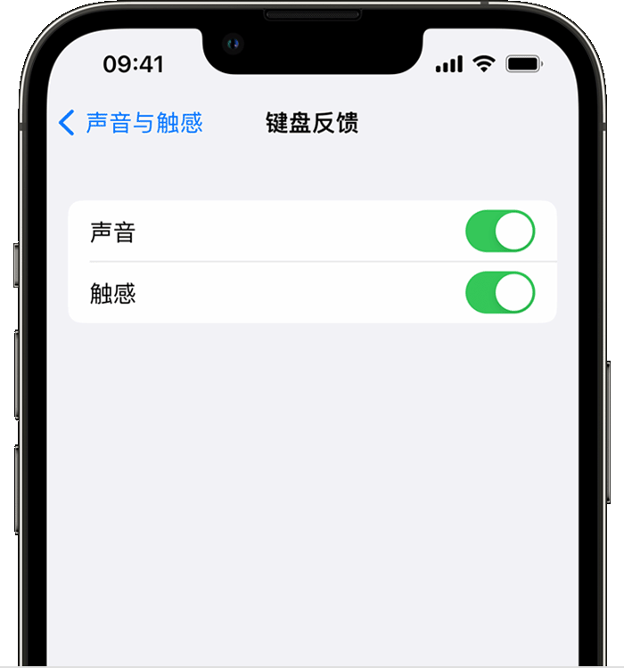 番禺苹果14维修店分享如何在 iPhone 14 机型中使用触感键盘 