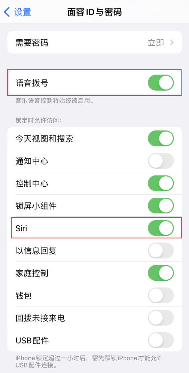 番禺苹果维修网点分享不解锁 iPhone 的情况下通过 Siri 拨打电话的方法 