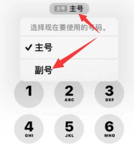 番禺苹果14维修店分享iPhone 14 Pro Max使用副卡打电话的方法 