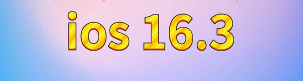 番禺苹果服务网点分享苹果iOS16.3升级反馈汇总 