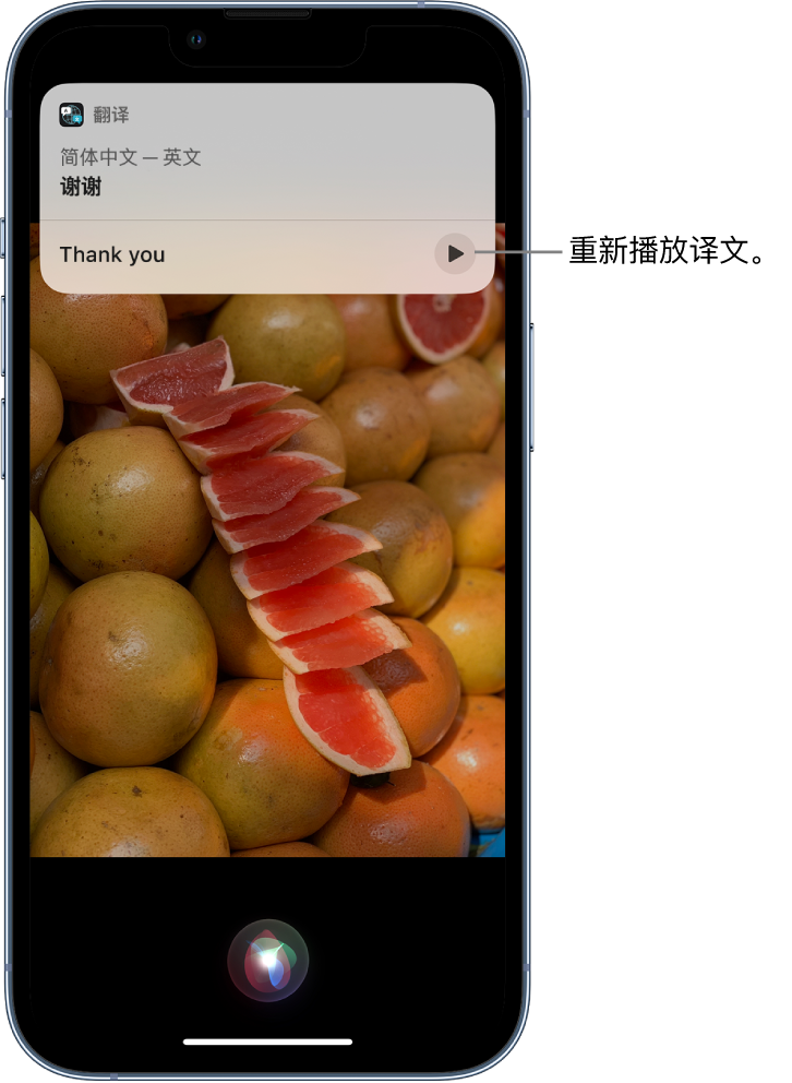 番禺苹果14维修分享 iPhone 14 机型中使用 Siri：了解 Siri 能帮你做什么 