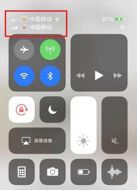 番禺苹果手机维修分享为 iPhone 12 双卡设置标签 