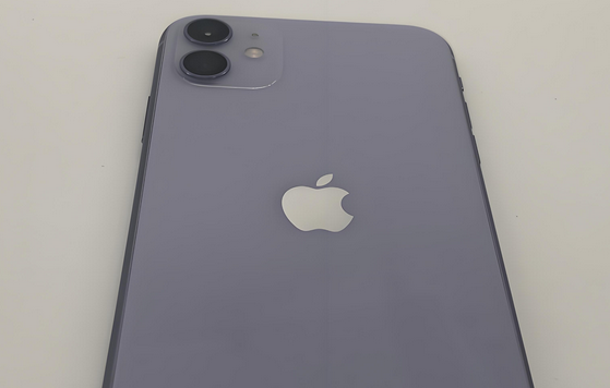 番禺苹果11系统维修分享iPhone11手机系统崩溃无法开机如何解决 